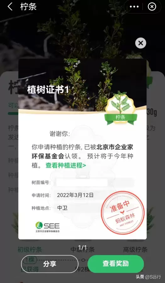 迷你世界怎么种树2022-迷你世界里怎么种树苗