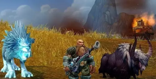 魔兽世界猎人是什么职业-魔兽世界猎人新手攻略