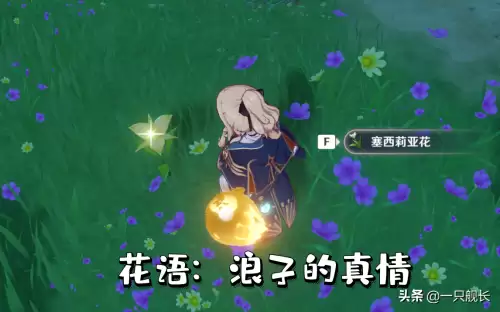 原神温迪弹的是什么琴-荧妹头上戴的花