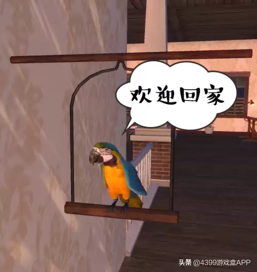 明日之后鹦鹉说什么话好-明日之后鹦鹉怎么免费获得