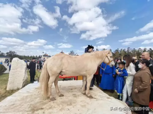 洛克王国春祭的门票怎么弄-洛克王国吉年祈福活动画卷