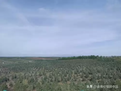 洛克王国春祭的门票怎么弄-洛克王国吉年祈福活动画卷