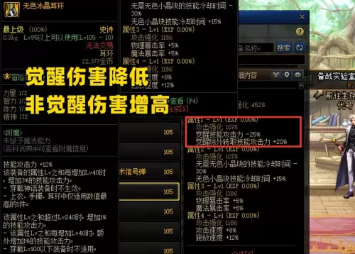 dnf110耳环搭配-DNF最强项链110