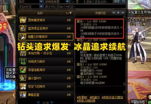 dnf110耳环搭配-DNF最强项链110