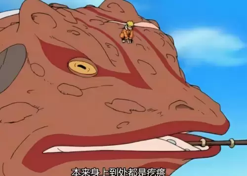 火影之开局捡到一只尾兽-火影之我是尾兽中的十尾