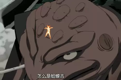 火影之开局捡到一只尾兽-火影之我是尾兽中的十尾