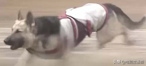 西游记搞笑图片-《西游记》穿帮镜头