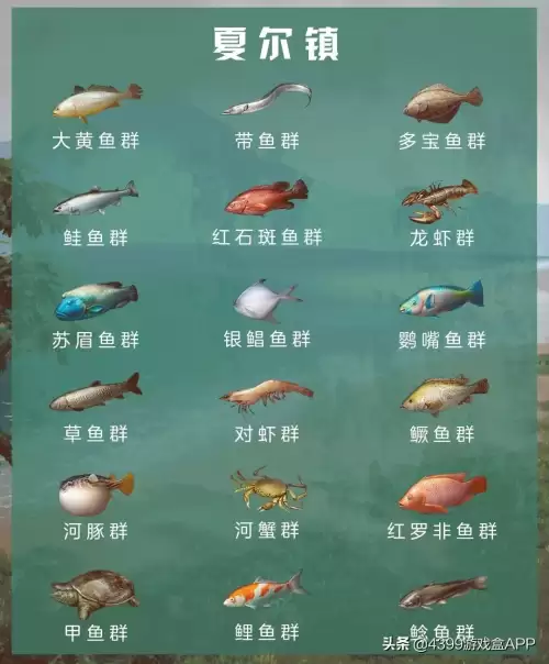 明日之后挂机钓鱼地点推荐-明日之后锦鲤钓鱼进度条