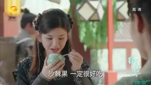 择天记小黑龙扮演者-择天记的小黑龙