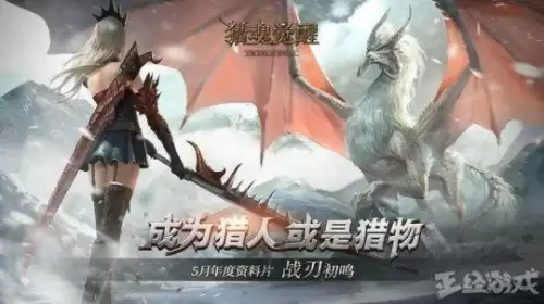 问鼎三界免费阅读-问鼎巅峰 小说