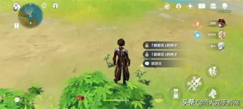 原神骗骗花长什么样-原神骗骗花分布图