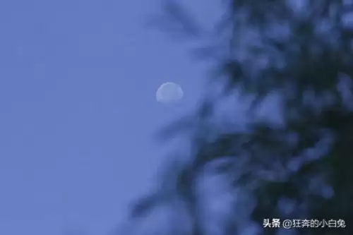 守护者之剑攻略电子书-圣剑勇者的英雄传攻略