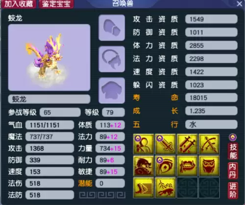梦幻古龙稀有宝宝大全-诅咒之地的稀有宝宝