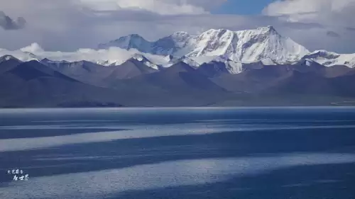 原神湖里的鱼怎么抓-梦见在小河沟里抓鱼