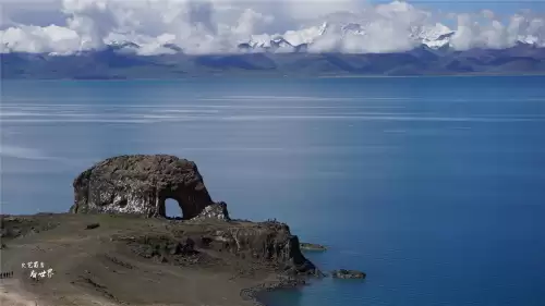原神湖里的鱼怎么抓-梦见在小河沟里抓鱼