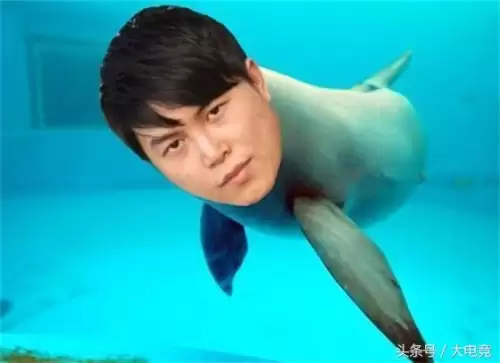 yyf不打dota-yyf最近玩的游戏叫什乿