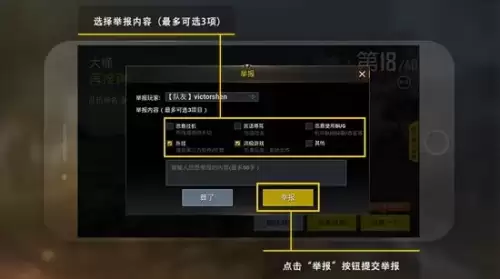 绝地求生观看怎么举报对手-刺激战场怎么举报对手