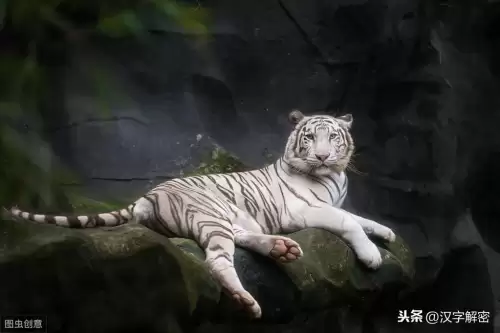 上古最强神兽排名-上古最强的神兽