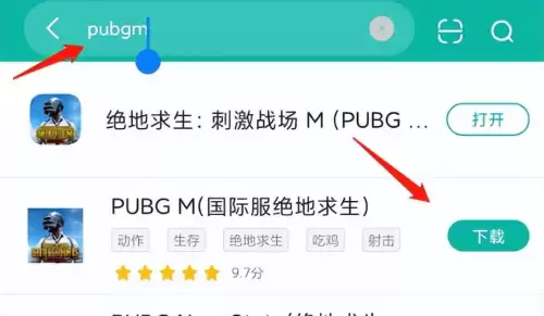 怎么下pubgm-PUBGM手游国际服下载地址