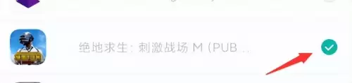 怎么下pubgm-PUBGM手游国际服下载地址