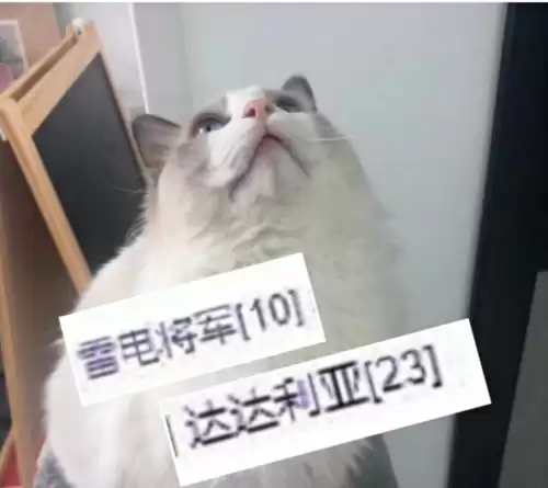 原神抽卡什么时间爆率高-半夜抽卡概率会高一点吗