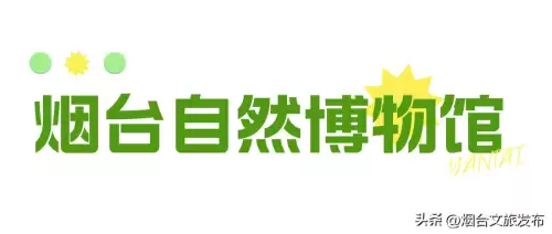 地下城堡幽谷怎么探索-地下城堡2幽谷怎么探索
