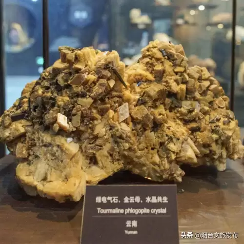 地下城堡幽谷怎么探索-地下城堡2幽谷怎么探索