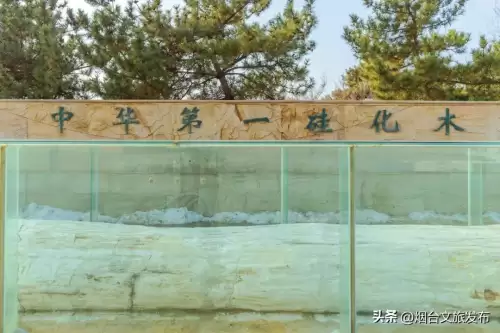 地下城堡幽谷怎么探索-地下城堡2幽谷怎么探索
