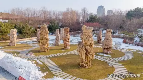 地下城堡幽谷怎么探索-地下城堡2幽谷怎么探索