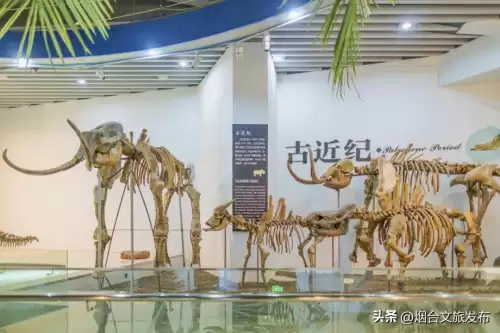 地下城堡幽谷怎么探索-地下城堡2幽谷怎么探索