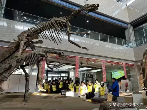 地下城堡幽谷怎么探索-地下城堡2幽谷怎么探索