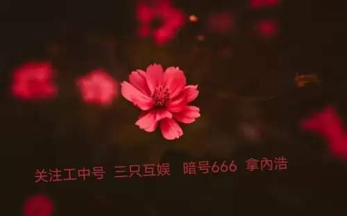 你迷你世界激活码怎么获得-迷你世界的激活码在哪