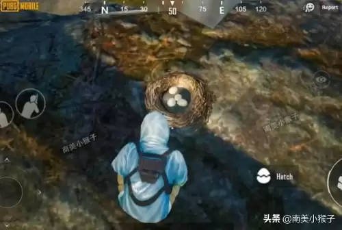 和平精英天上飞的是什么-和平精英最近很火的一首歌叫什么