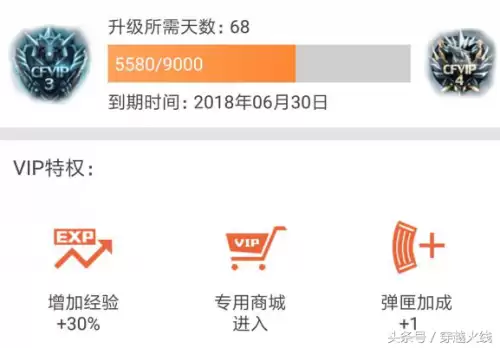 cf会员加经验吗-cf六烈龙加多少子弹
