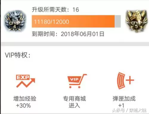 cf会员加经验吗-cf六烈龙加多少子弹
