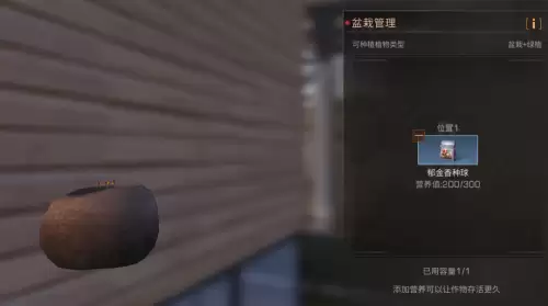 明日之后盆栽怎么得-明日之后种植的植物怎么铲除