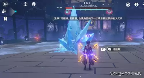 原神女士怎么打搭配-原神女士怎么打萌新角色