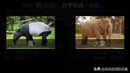 密传2源码-老密传和新密传的区别
