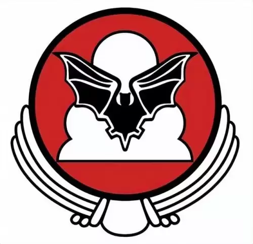战机中队攻略-美国战斗机中队编制