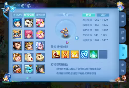 神武4小昕饰品-神武4宝宝选择攻略