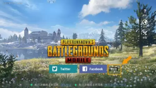 绝地求生刺激战场国际服怎么下-绝地求生国际服下载安装教程
